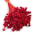 Hill Flower czerwony.png