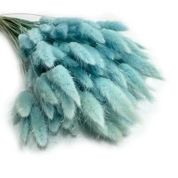 Dmuszek jajowaty (Lagurus) suszony | jasnoniebieski | ok. 150 szt. | 60 cm