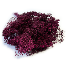 Przejdź do produktu Broom Bloom suszony | ciemna fuksja | ok. 100 g