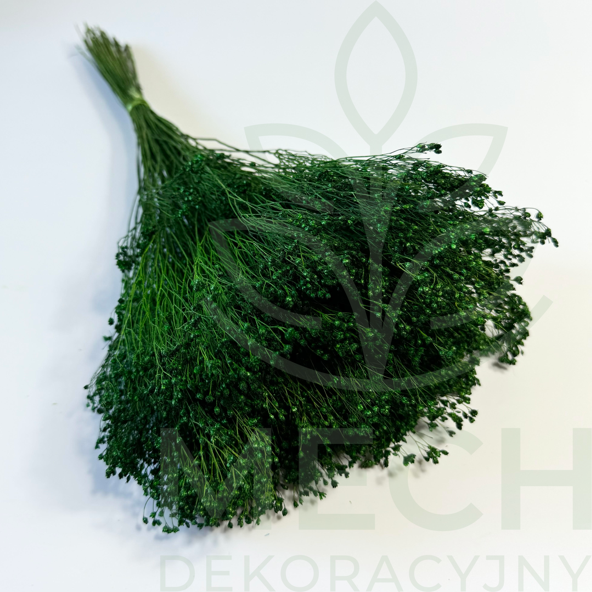 Broom Bloom zielony suszony.png