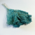 Broom Bloom jasnoniebieski suszony.png