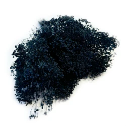 Broom Bloom suszony | granatowy | ok. 100 g