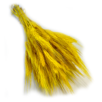 Pszenżyto suszone | żółte | ok. 100 g