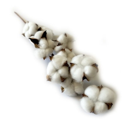 ba6eee0681b72f17318b95f3ca88f0d0.png