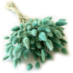 Dmuszek jajowaty (Lagurus) suszony | metaliczna zieleń | ok. 150 szt. | 60 cm