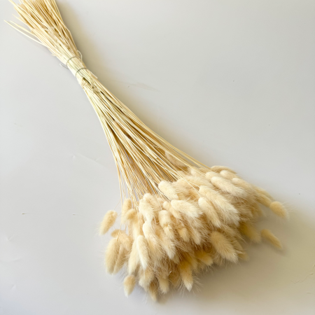719e4e870d0cf266c7003f80de6256c3.png
