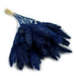 Włośnica Setaria suszona | granatowa | 100 g