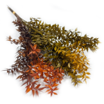 Ruskus stabilizowany | kolorowy | 5 sztuk gałązek