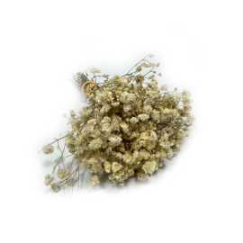 Przejdź do produktu Gipsówka stabilizowana MINI | biała