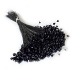 Glixia suszona (Gliksja, Comanthera) | ok. 800 szt. | czarna