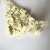 Lunaria biała suszona