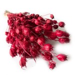 Czarnuszka suszona | czerwona | ok. 80 g