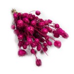 Czarnuszka suszona | fuksja | ok. 80 g