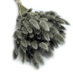 Dmuszek jajowaty (Lagurus) suszony | szary | ok. 150 szt. | 60 cm