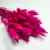 Dmuszek suszony fuksja bukiet