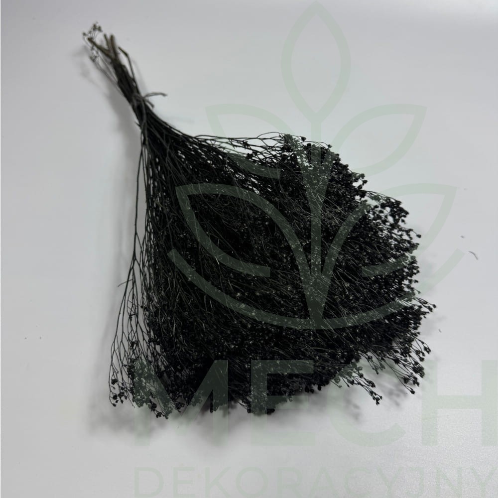 Broom Bloom czarny bukiet