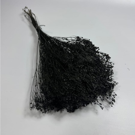 Broom Bloom czarny bukiet