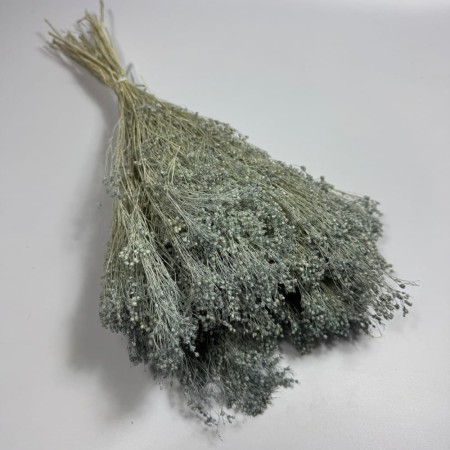 Broom Bloom szary bukiet