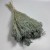Broom Bloom szary bukiet