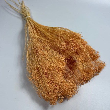 Broom Bloom pomarańczowy bukiet