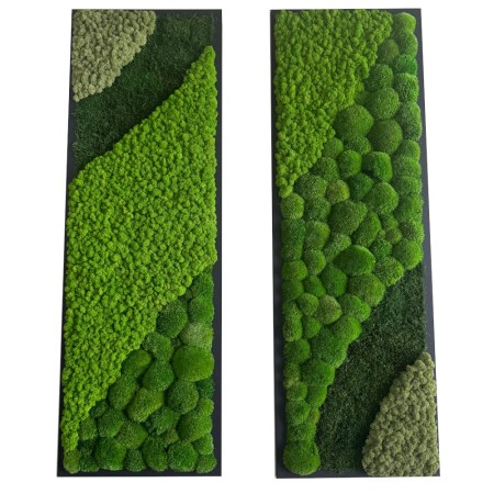 Obrazy z mchu kompozycja