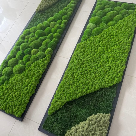 Obrazy z mchu kompozycja komplet