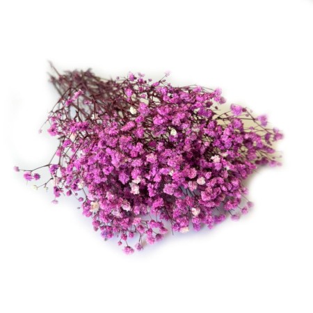 Gipsówka 50 gram fioletowa.jpg