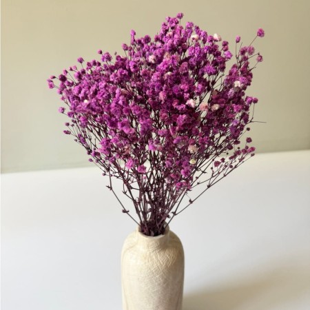 Gipsówka 50 gram fioletowa stabilizowana w wazonie.jpg