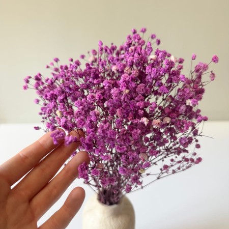 Gipsówka 50 gram fioletowa stabilizowana w wazonie bukiet.jpg