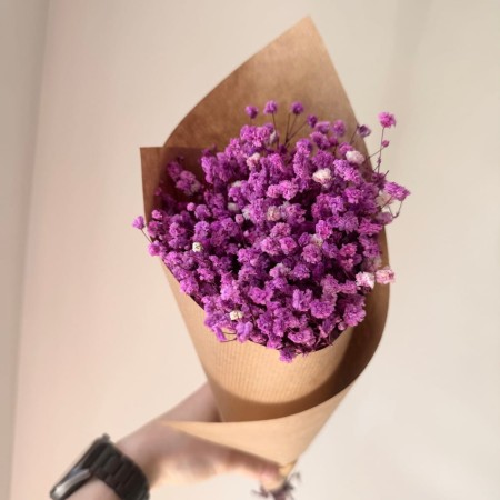 Gipsówka 50 gram fioletowa stabilizowana w opakowaniu.jpg