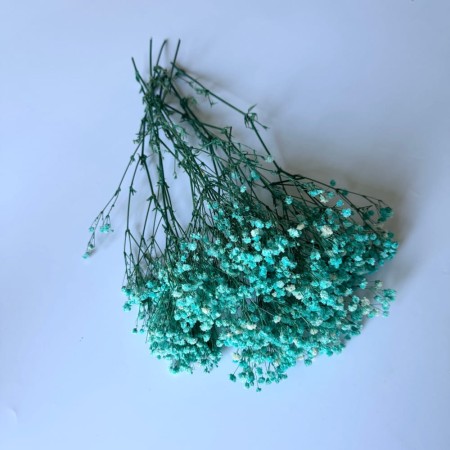 Gipsówka 50 gram jasnoniebieska stabilizowana.jpg