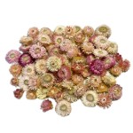 Kocanka suszona (Helichrysum) główki | jasnoróżowa | ok. 50 g