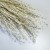 Lepidium bielone suszone.jpg