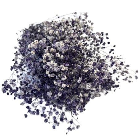 Gipsówka suszona fioletowobiała bukiet.jpg