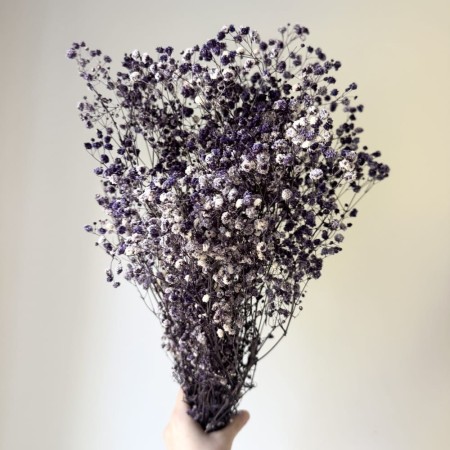 Gipsówka suszona fioletowo biała.jpg