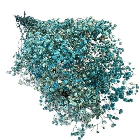 Gipsówka suszona niebieska bukiet.jpg