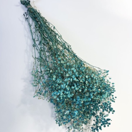 Gipsówka suszona niebieska.jpg