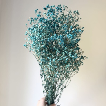 Gipsówka niebieska suszona.jpg