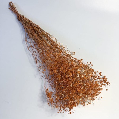 Gipsówka pomarańczowa suszona.jpg