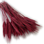 Pszenżyto suszone | bordowe | ok. 100 g