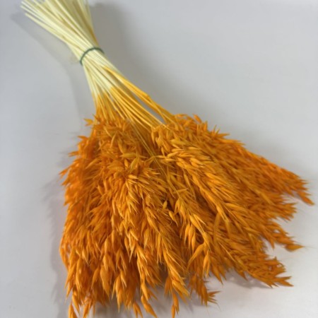 Owies suszony pomarańczowy.jpg