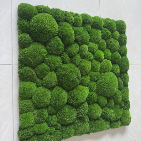 Panel mech poduszkowy.jpg