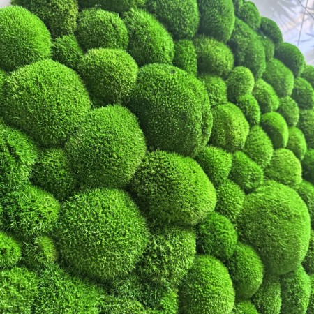 Panel z mchu poduszkowego średnia zieleń.jpg