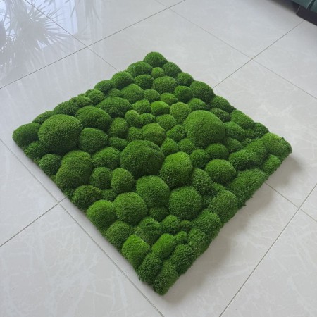 Panel z mchu poduszkowego.jpg