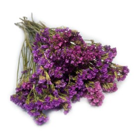 Przejdź do produktu Zatrwian wrębny (limonium) suszony | różowy | 70 g