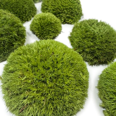 Mech poduszkowy średnia zieleń PREMIUM.jpg