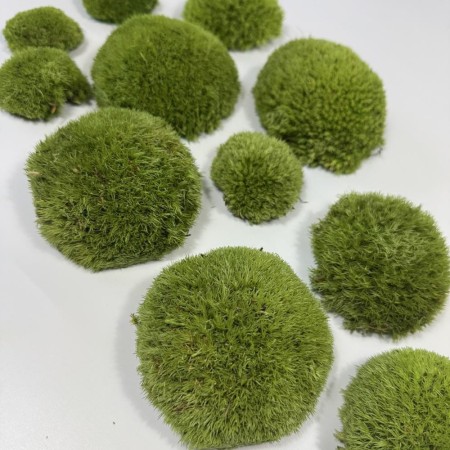 Mech poduszkowy PREMIUM średnia zieleń.jpg