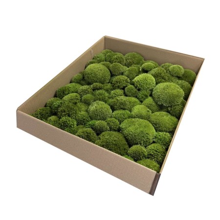 Mech poduszkowy PREMIUM 0,5 m2.jpg