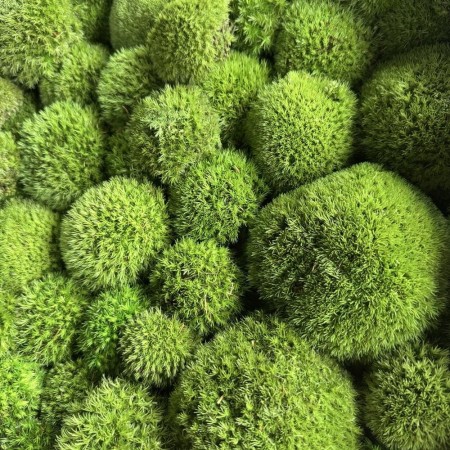 Mech poduszkowy średnia zieleń PREMIUM 0,5 m2.jpg