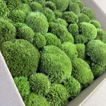 Mech poduszkowy PREMIUM 0,5 m2 średnia zieleń.jpg